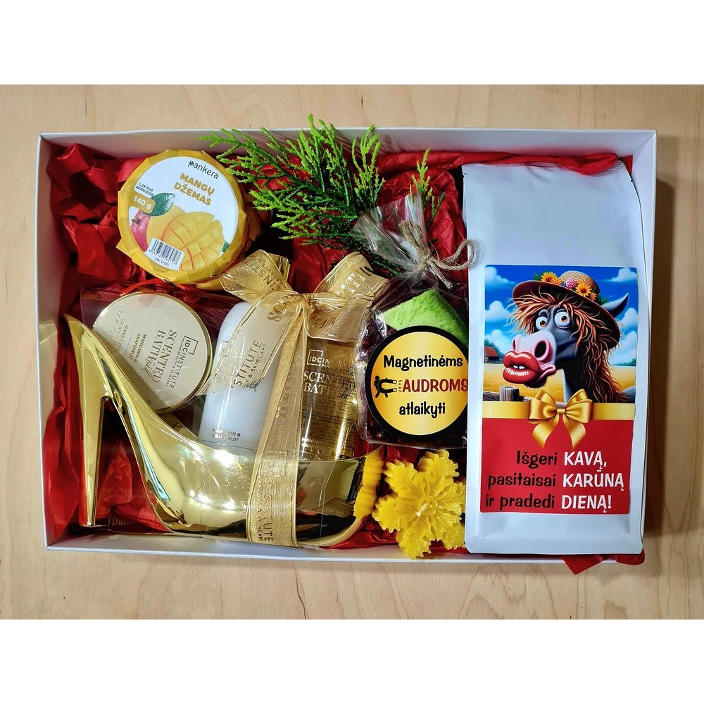 DOVANŲ RINKINYS NR 100